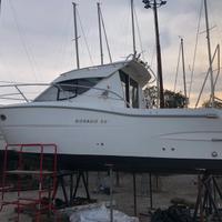 Sessa Dorado 26