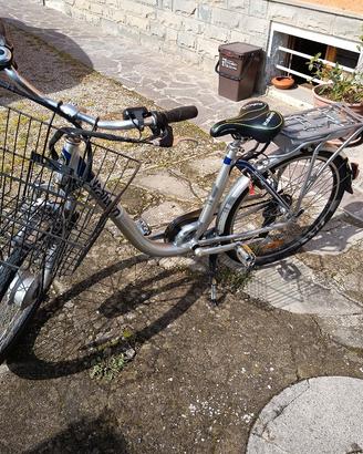 Bicicletta a pedalata assistita 