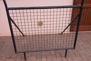 rollbar ape 50