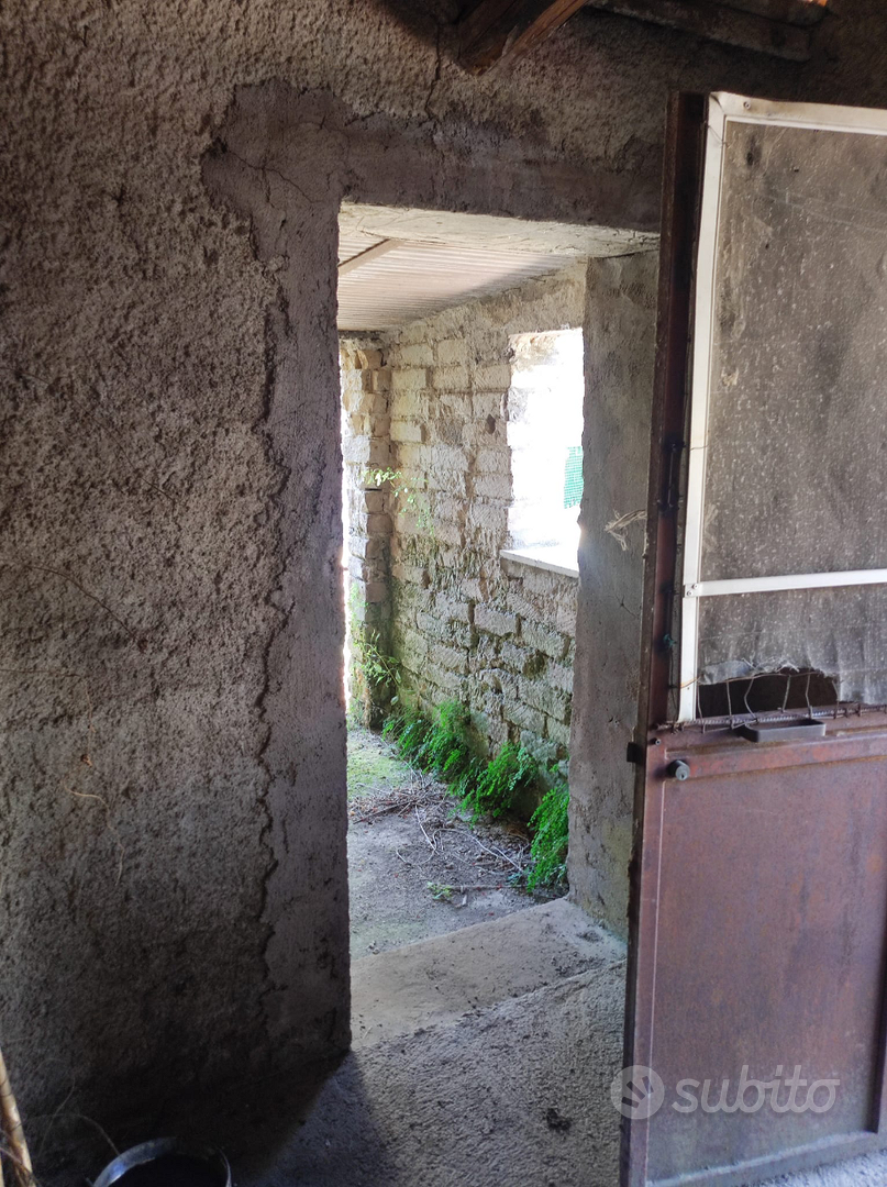 Rustico da ristrutturare - Vista 4
