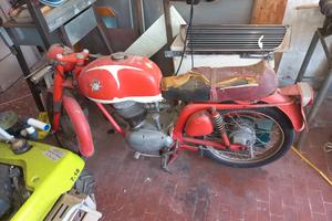 mv augusta 125 sport