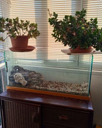 Acqua- terrario