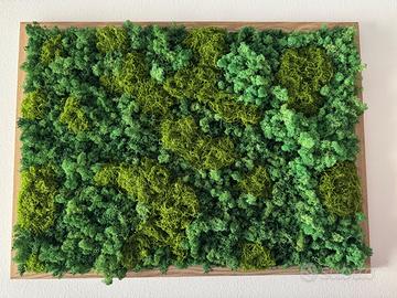 Quadro di muschio stabilizzato 50x70