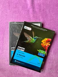 Il walker, Corso di Fisica 1