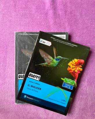 Il walker, Corso di Fisica 1