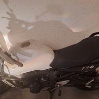 Yamaha FZ6 (2007) - Base per ripristino o progetto