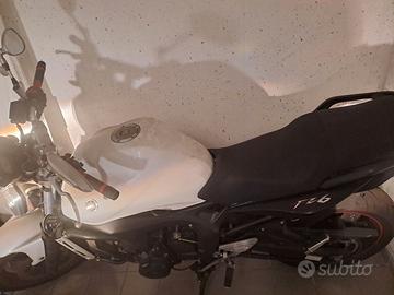 Yamaha FZ6 (2007) - Base per ripristino o progetto