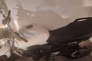 Yamaha FZ6 (2007) - Base per ripristino o progetto