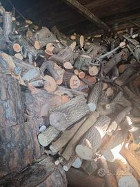 legna pronta per camino o stufa euro 10 ol quintal