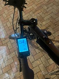 E-bike / bici eletterica trekking RIverside 520 E