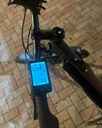 E-bike / bici eletterica trekking RIverside 520 E
