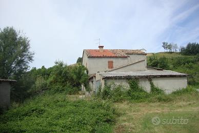Rustico con terreno