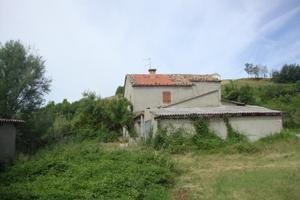 Rustico con terreno
