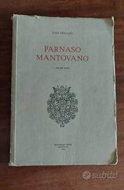 Libro "Il Parnaso mantovano" di Luigi Pescasio