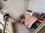Immagine 11