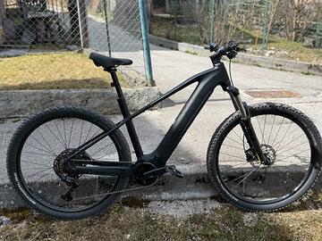 Bicicletta elettrica
