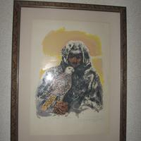 Arabo e Falco