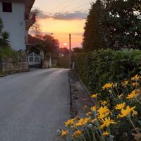 Ampio fabbricato cielo terra immerso nel verde