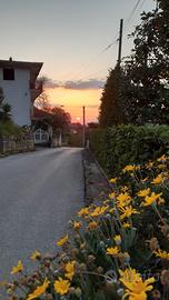 Ampio fabbricato cielo terra immerso nel verde