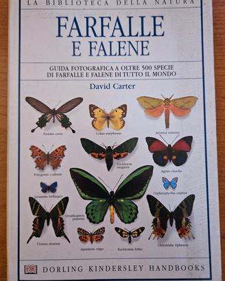 2 libri sui minerali e farfalle