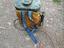 Immagine 3