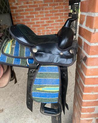 selle americane da pony