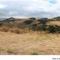 RGE 41/2006 Trib ENNA(EX NICOSIA) - LOTTO 7