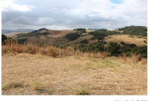 RGE 41/2006 Trib ENNA(EX NICOSIA) - LOTTO 7