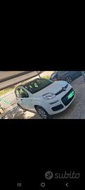 panda twinair 900 