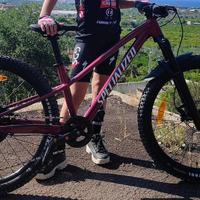 Mtb specialized 24 pollici