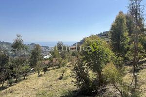 Terreno Edificabile a Bordighera