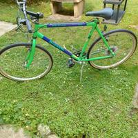 bicicletta Bianchi Whistler