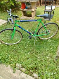 bicicletta Bianchi Whistler