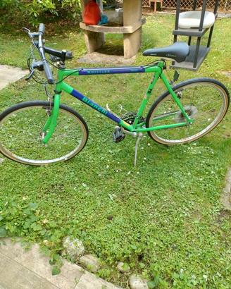 bicicletta Bianchi Whistler