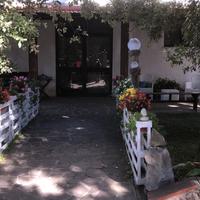 Trattoria maremmabona