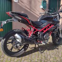 Benelli BN 125 - 2022