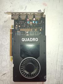 Scheda Video Professionale NVIDIA Quadro P2000 5GB