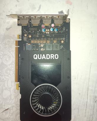 Scheda Video Professionale NVIDIA Quadro P2000 5GB