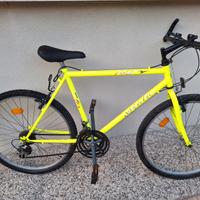 Mountain bike