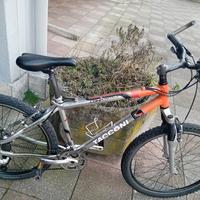 biçi di corso nr 26 