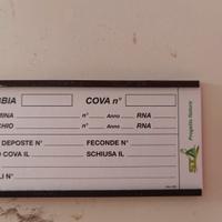 Porta targhetta magnetici