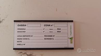 Porta targhetta magnetici