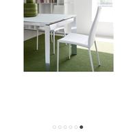 Tappeto Calligaris verde 240x340x1