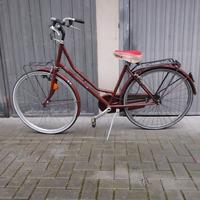 Bici donna