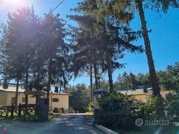 Appartamento Pinete del Pizzalto Campo di Giove