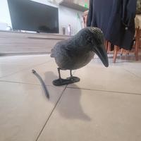Corvo finto scaccia uccelli
