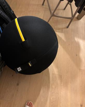 Technogym: palla wellness