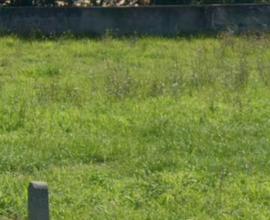 Terreno edificabile e progetto villa unif. ind