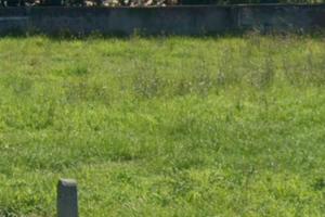 Terreno edificabile e progetto villa unif. ind