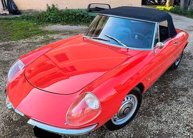 Alfa Romeo Spider 1600 OSSO DI SEPPIA